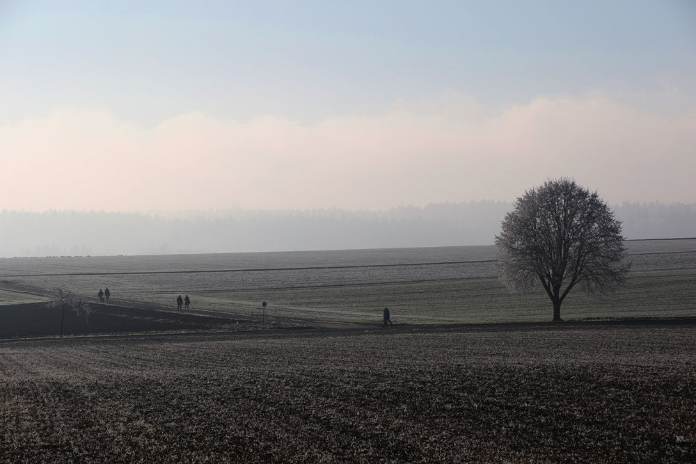 Spaziergänger am Neujahrstag 2017