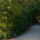 Spaziergänger am Rotbachsee