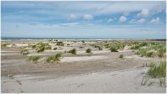 Spaziergänger am Strand 