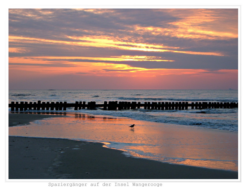 Spaziergänger auf Wangerooge