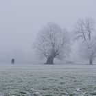 Spaziergänger im Nebel