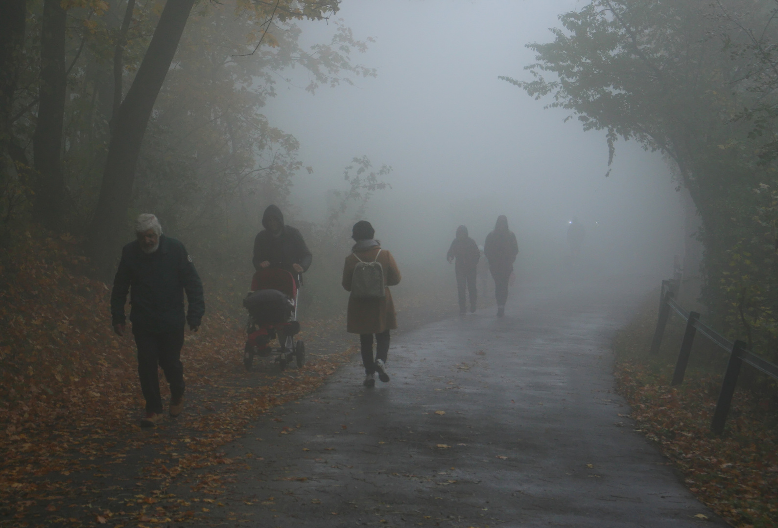 Spaziergänger im Nebel