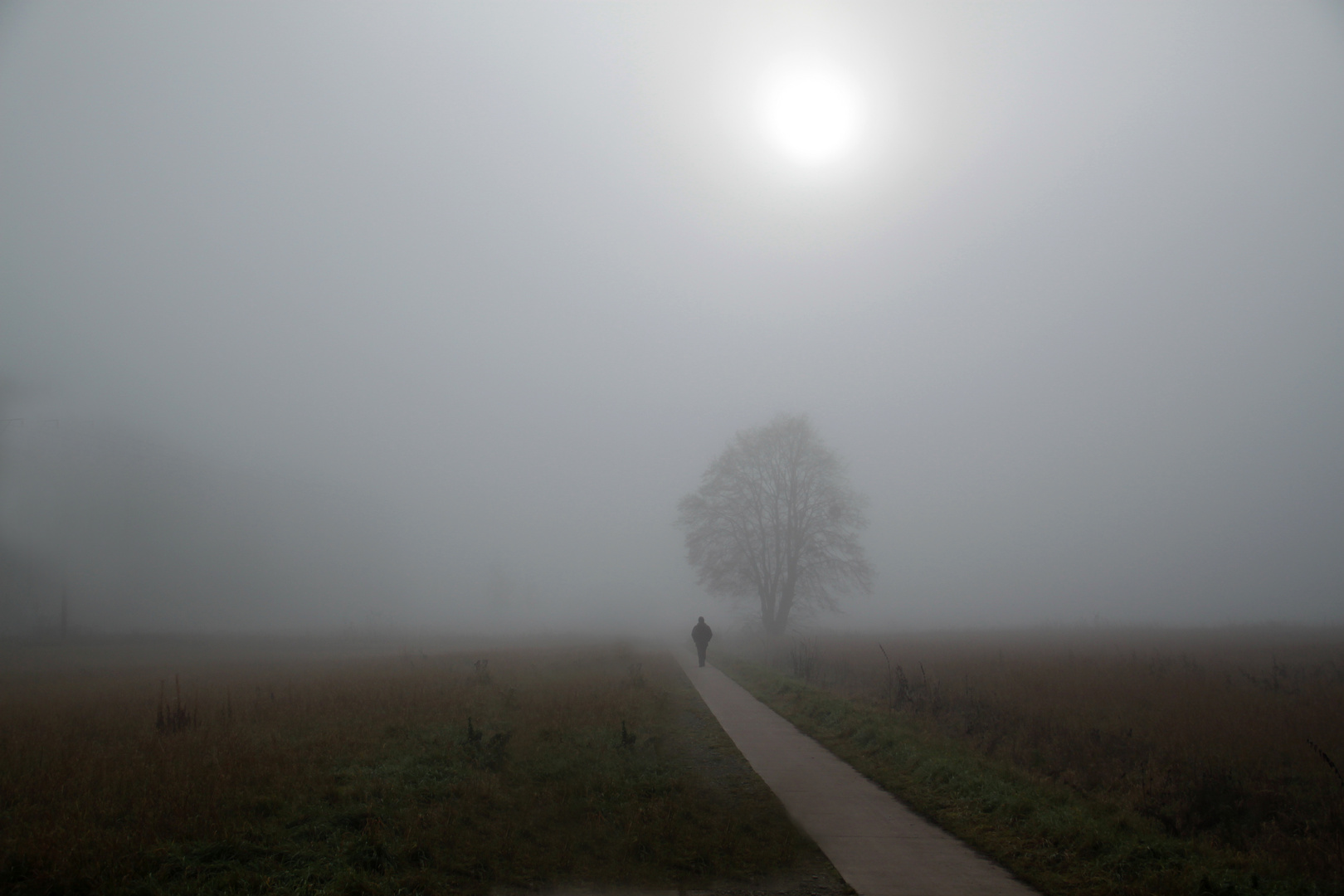 Spaziergänger im Nebel