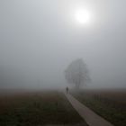 Spaziergänger im Nebel