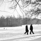 Spaziergänger im park