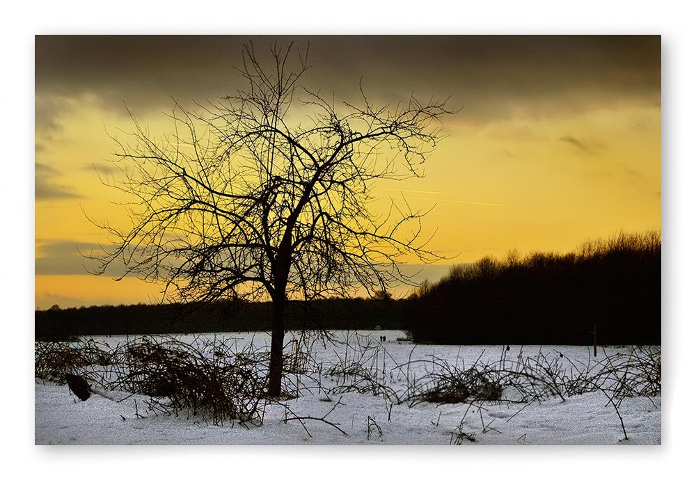 Spaziergänger im Schnee