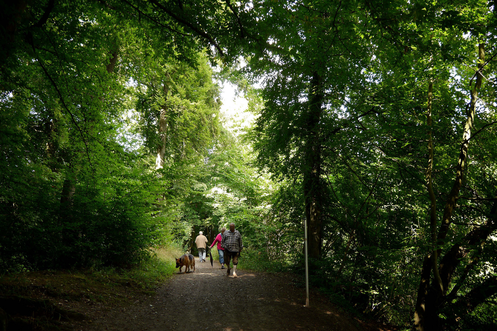 Spaziergänger im Wald an der Aparther Mühle, im Bergischen Land.