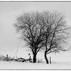 Spaziergänger im Winter