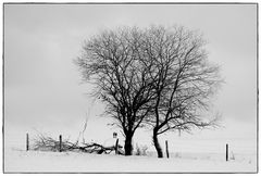 Spaziergänger im Winter