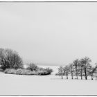 Spaziergänger im Winter II