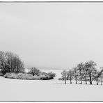 Spaziergänger im Winter II