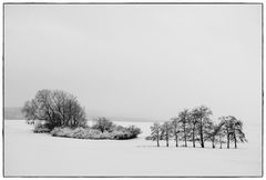 Spaziergänger im Winter II