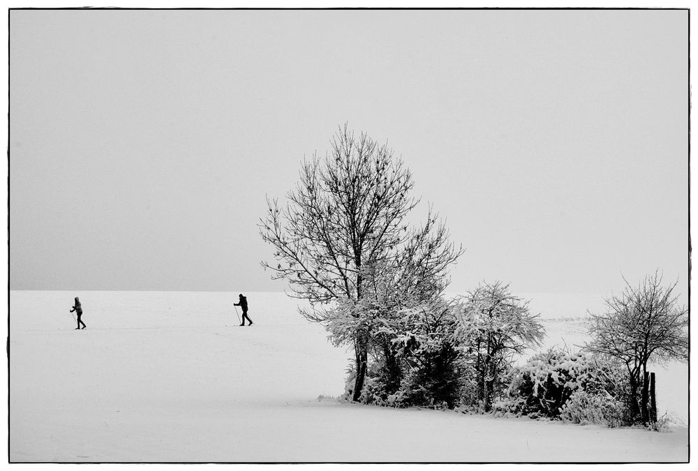 Spaziergänger im Winter III