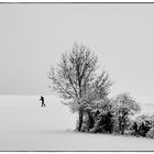 Spaziergänger im Winter III