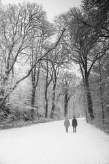 Spaziergänger im winterlichen Bremer Bürgerpark