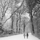 Spaziergänger im winterlichen Bremer Bürgerpark