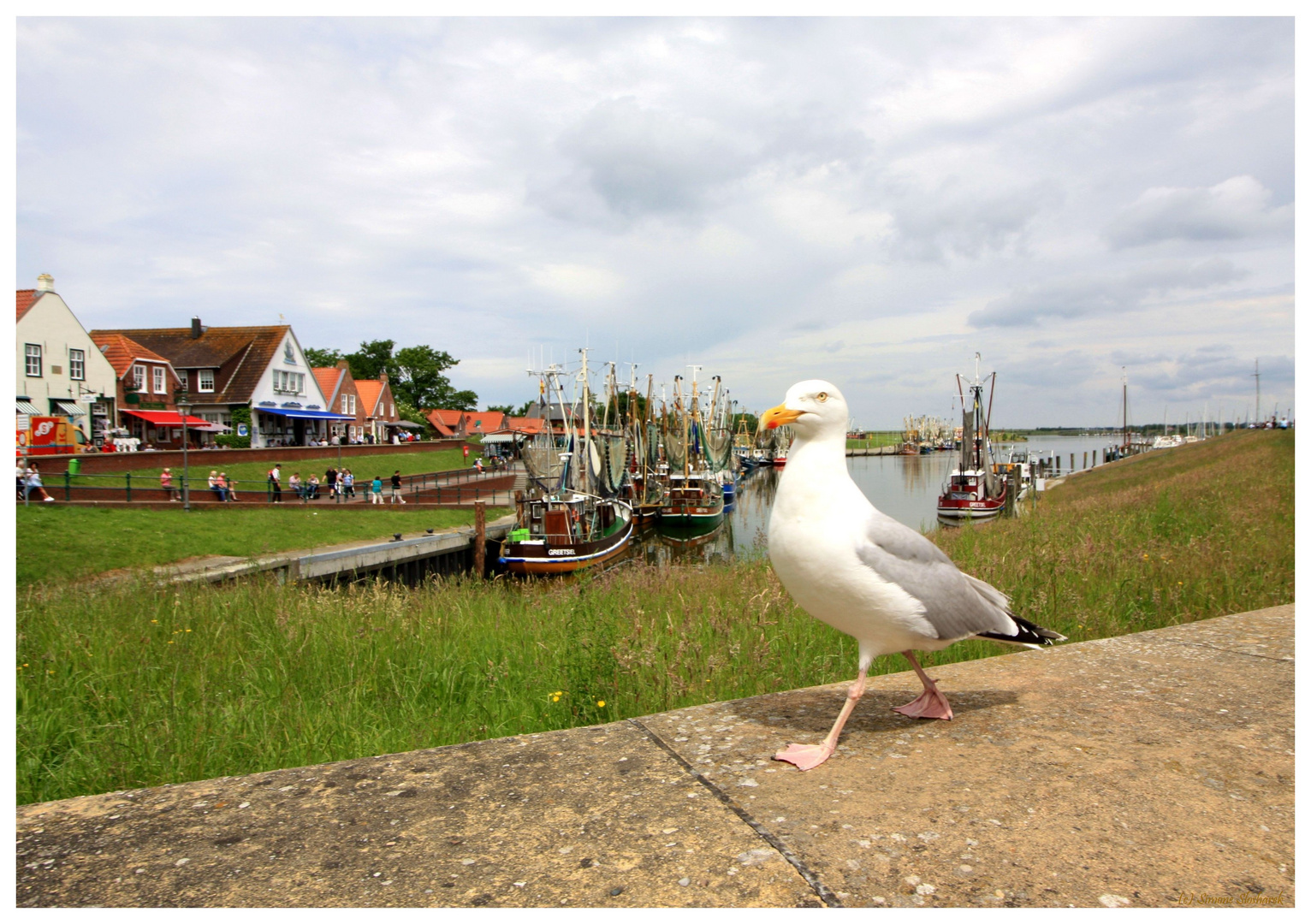 + Spaziergänger in Greetsiel +