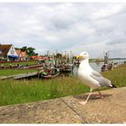 + Spaziergänger in Greetsiel +