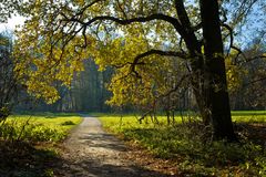 Spaziergänger mit Hund