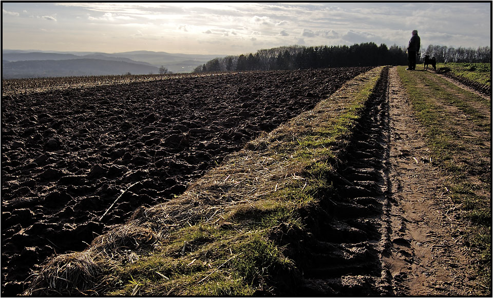 Spaziergänger mit Hund Foto &amp; Bild landschaft, Äcker, felder &amp; wiesen