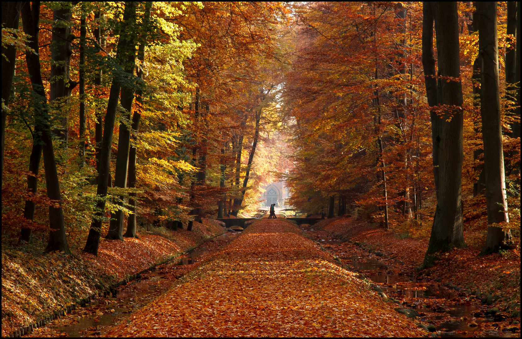 Spaziergang Foto & Bild jahreszeiten, herbst, wald und bäume Bilder auf