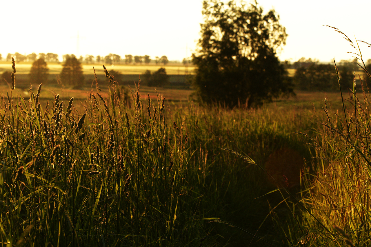 Spaziergang