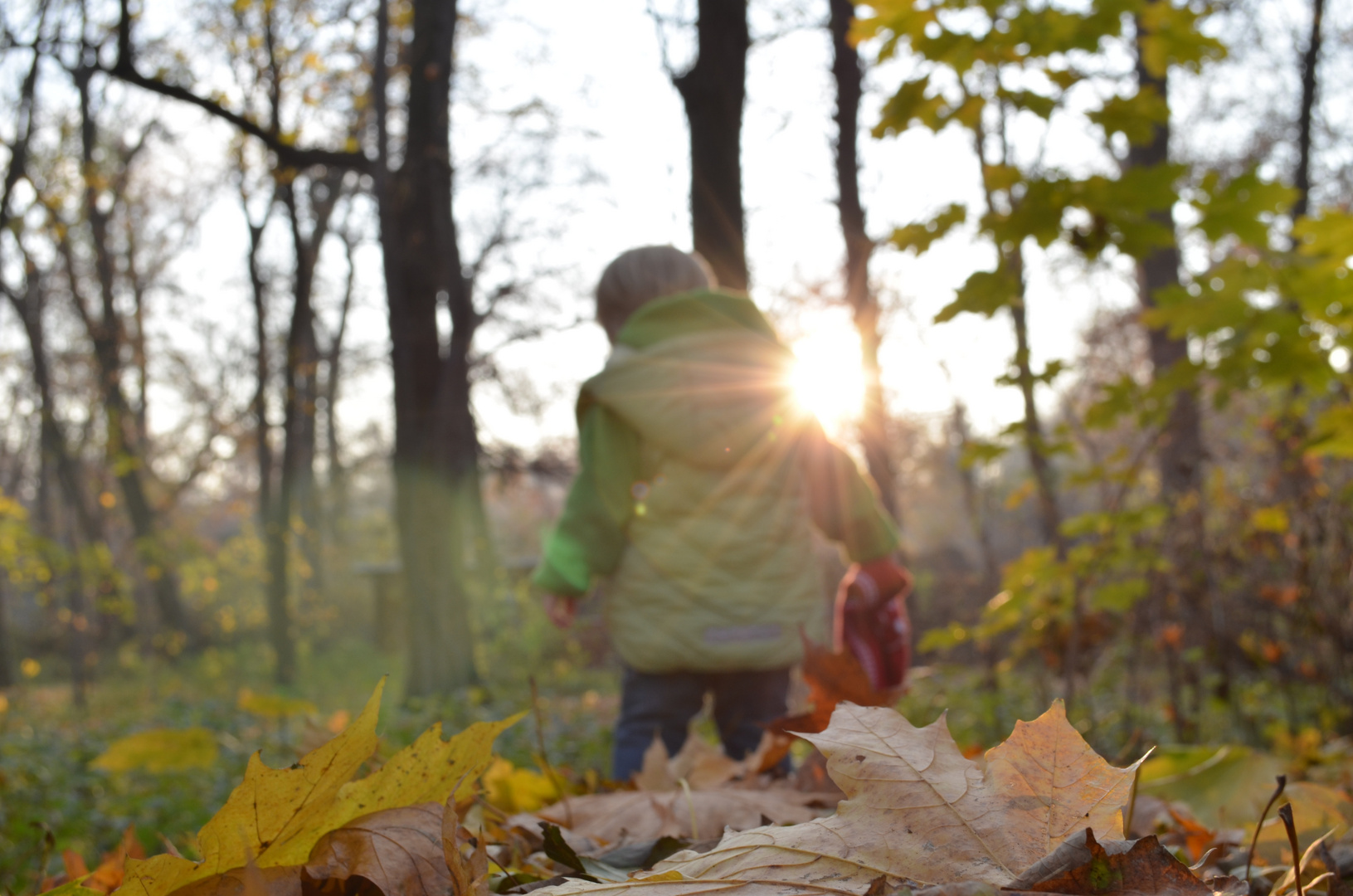 Spaziergang