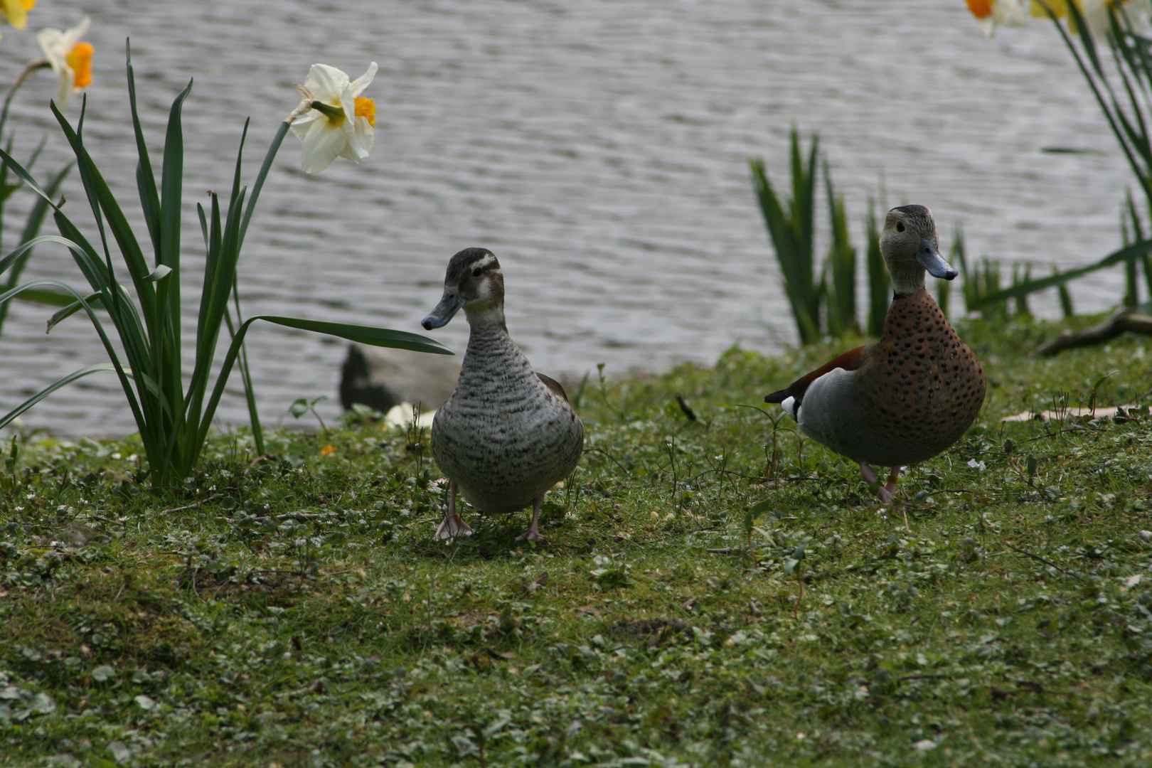 Spaziergang