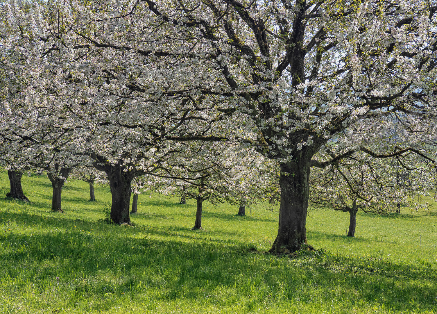 Spaziergang