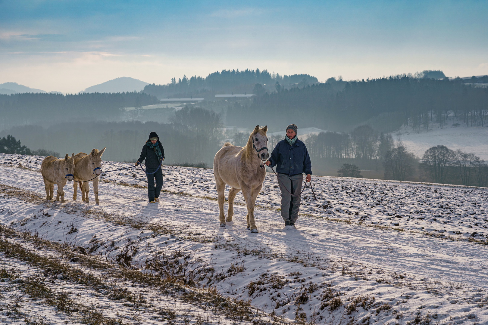 Spaziergang 