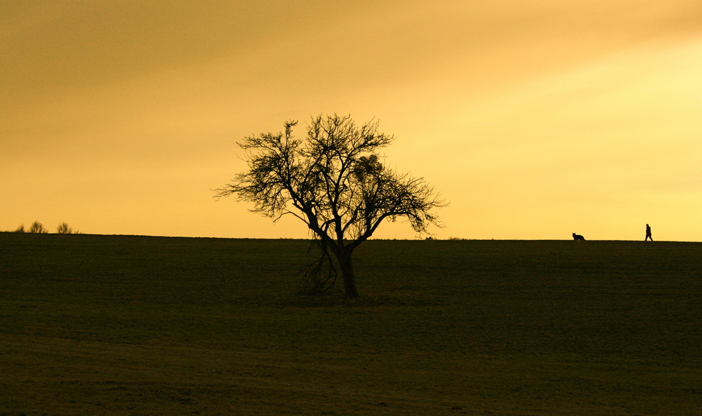 Spaziergang