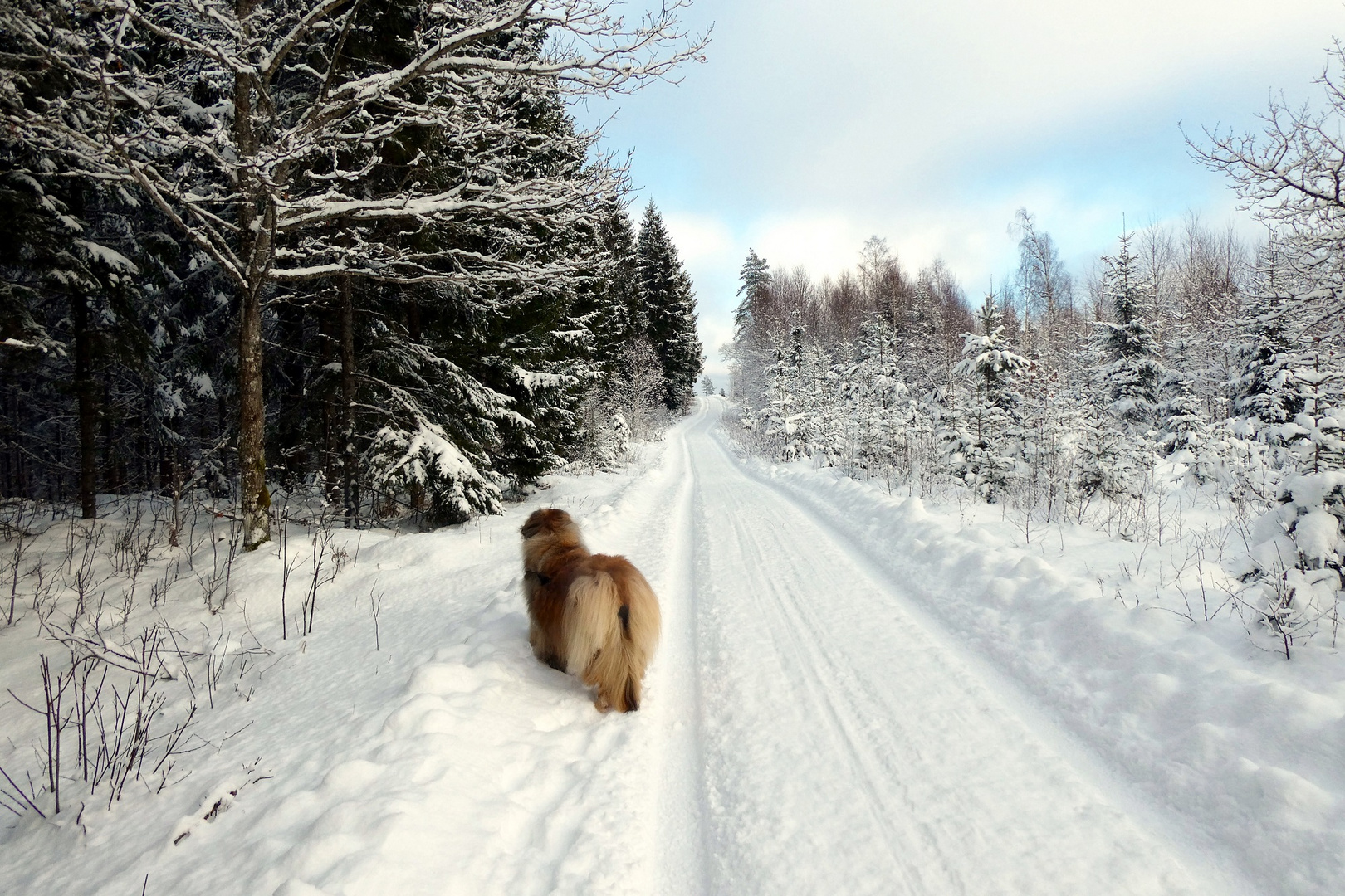 ... Spaziergang ...