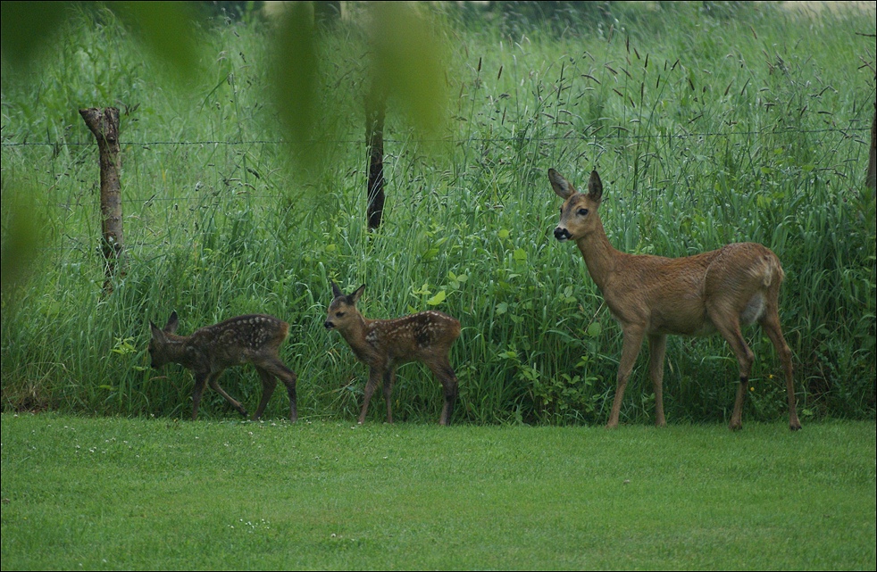 Spaziergang