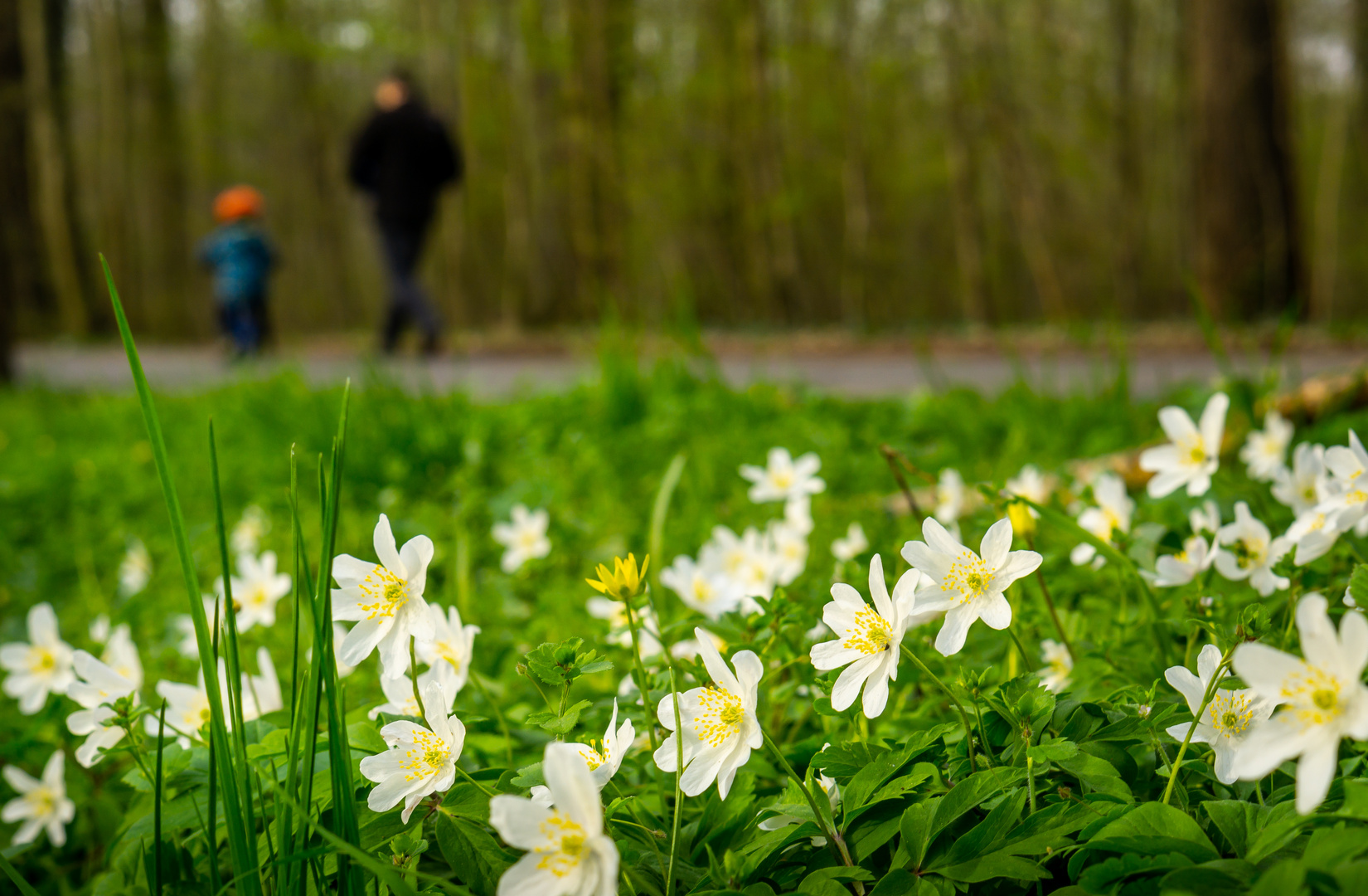 Spaziergang