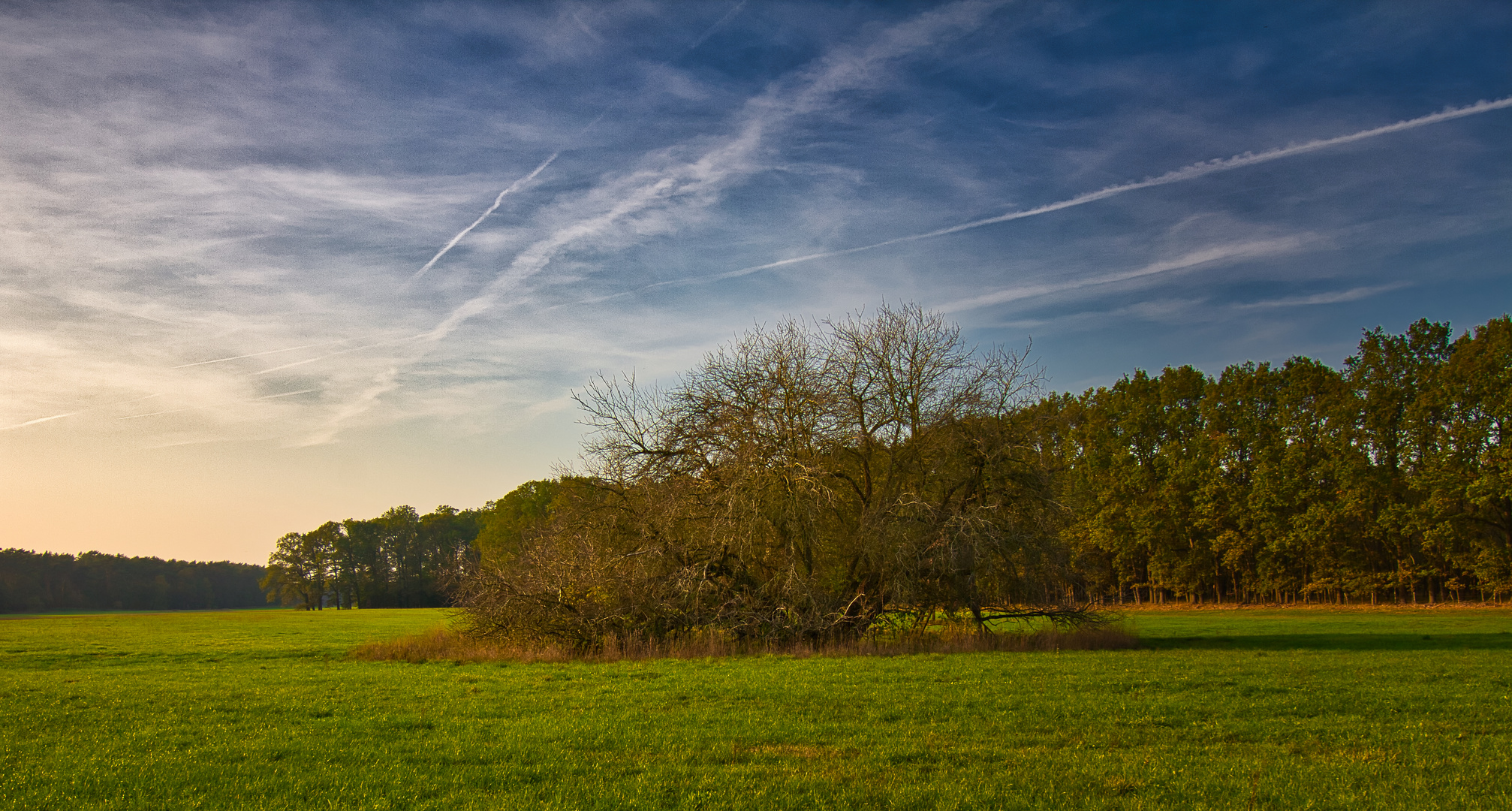 Spaziergang