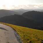 Spaziergang am 5. 1. 2014 in der Eifel