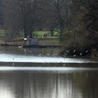 Spaziergang am Aasee-Münster