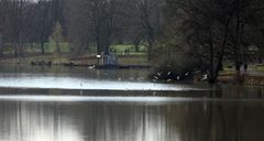 Spaziergang am Aasee-Münster