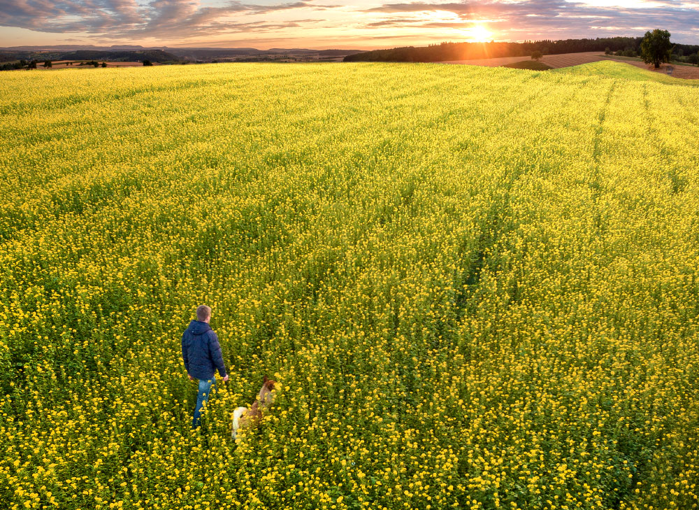 Spaziergang am Abend