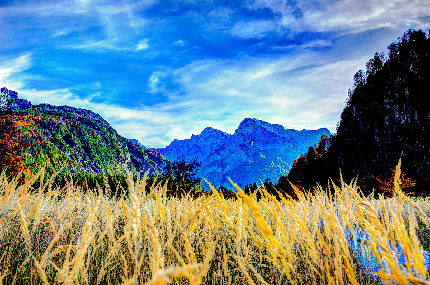 Spaziergang am Almsee