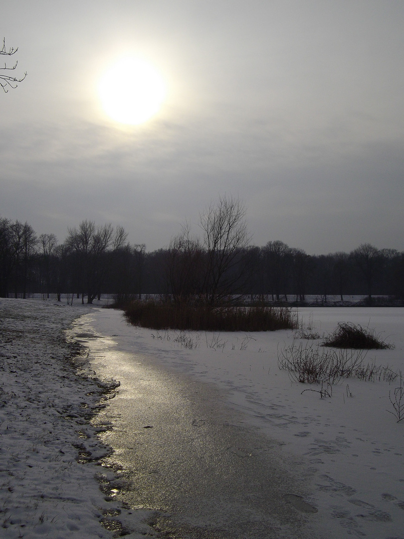 Spaziergang am Auensee