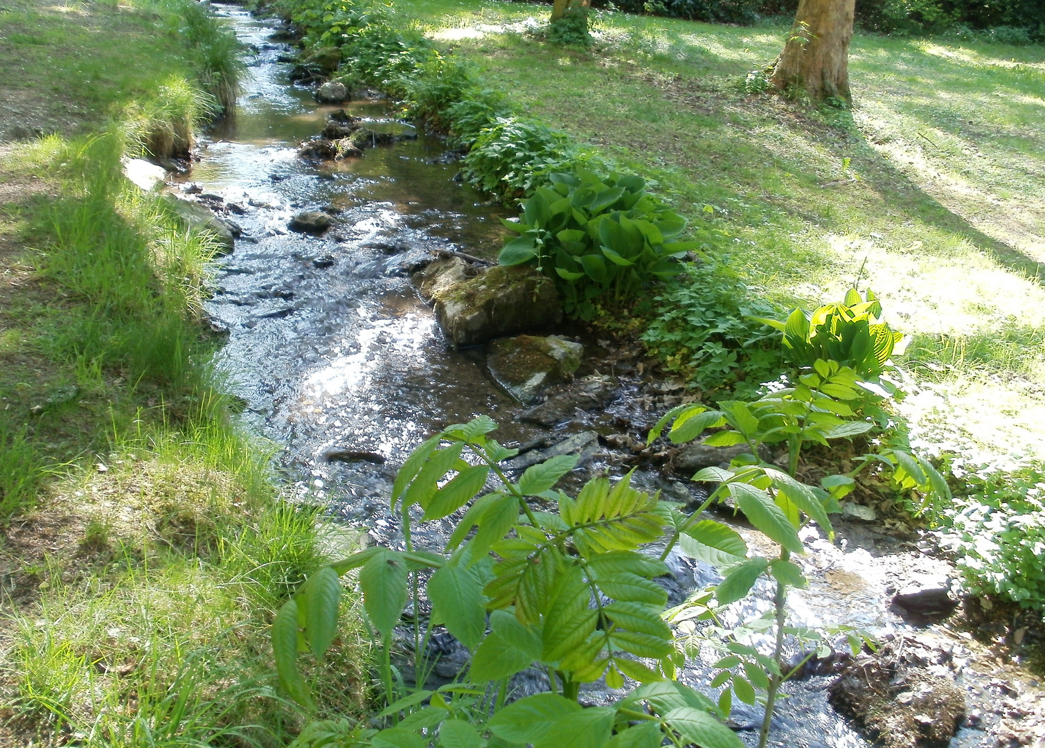 Spaziergang am Bach