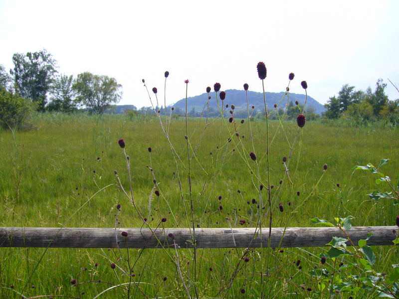 Spaziergang am Bielersee