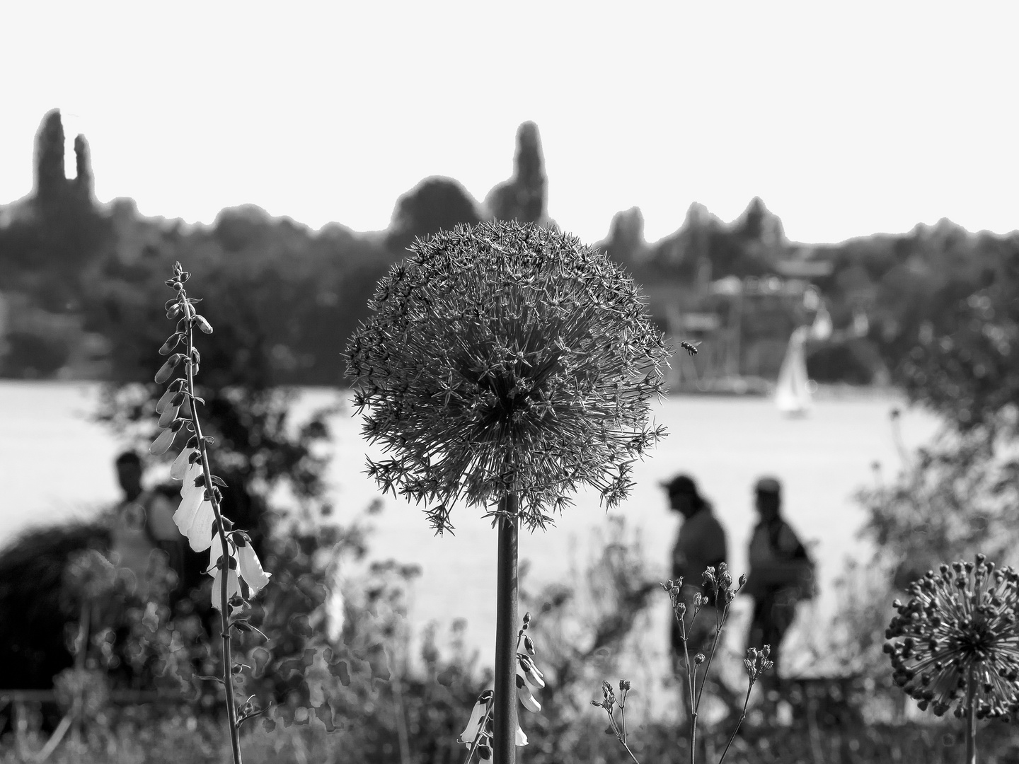 Spaziergang am Bodensee