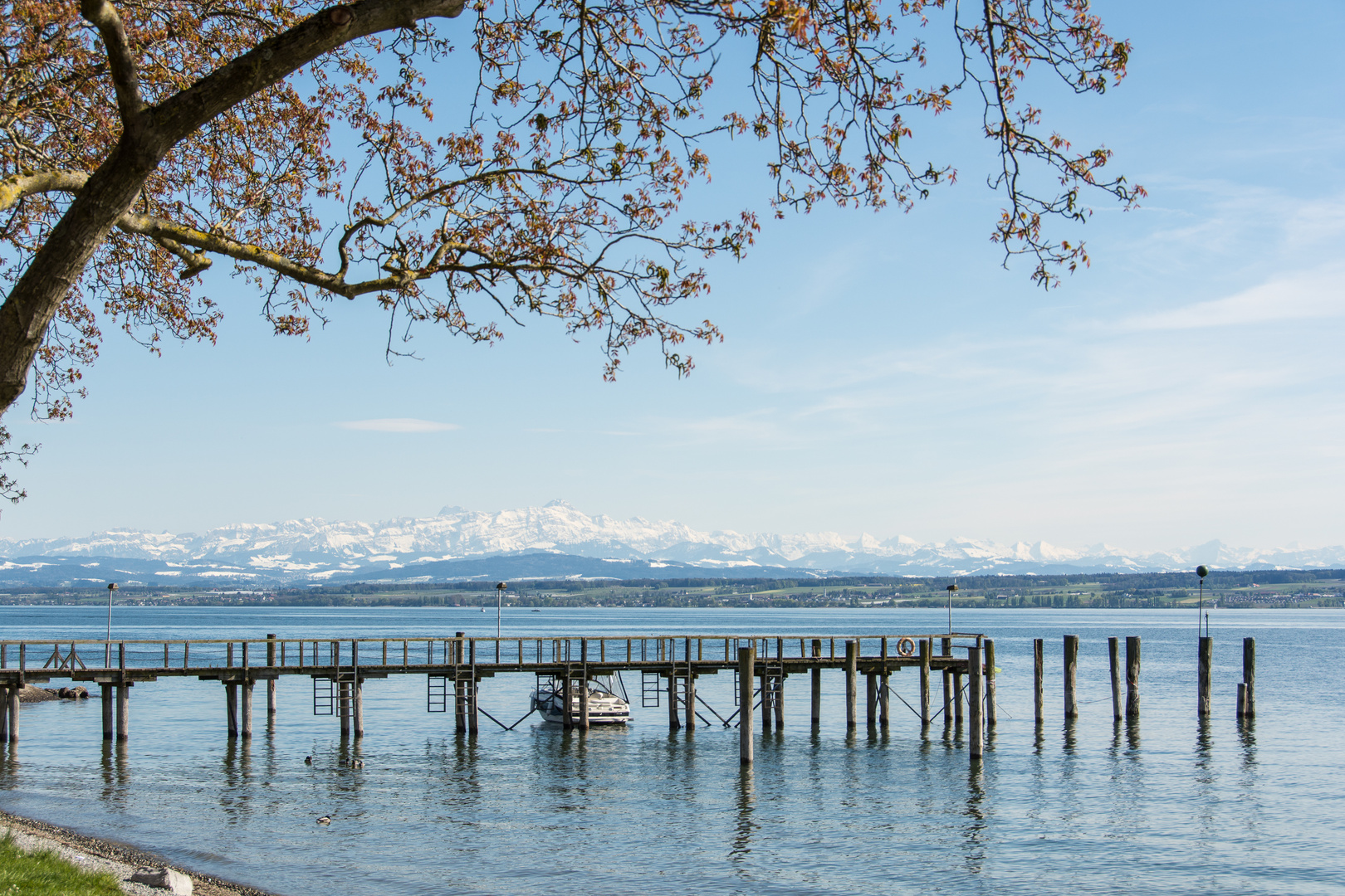 Spaziergang am Bodensee 