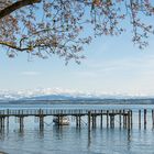 Spaziergang am Bodensee 