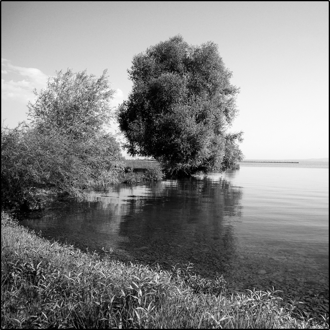 Spaziergang am Bodensee