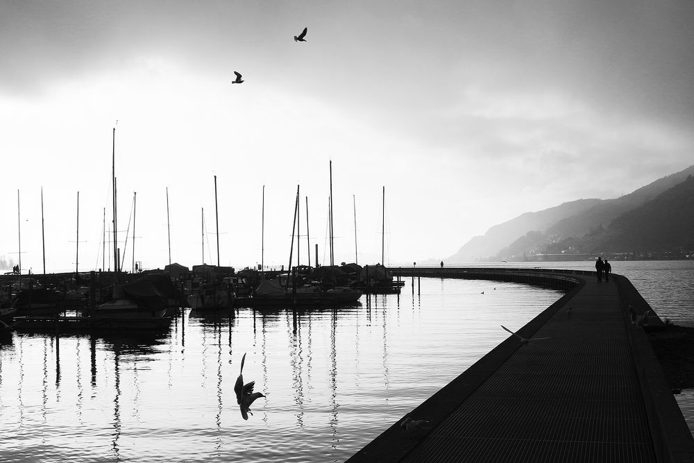 Spaziergang am Bootshafen