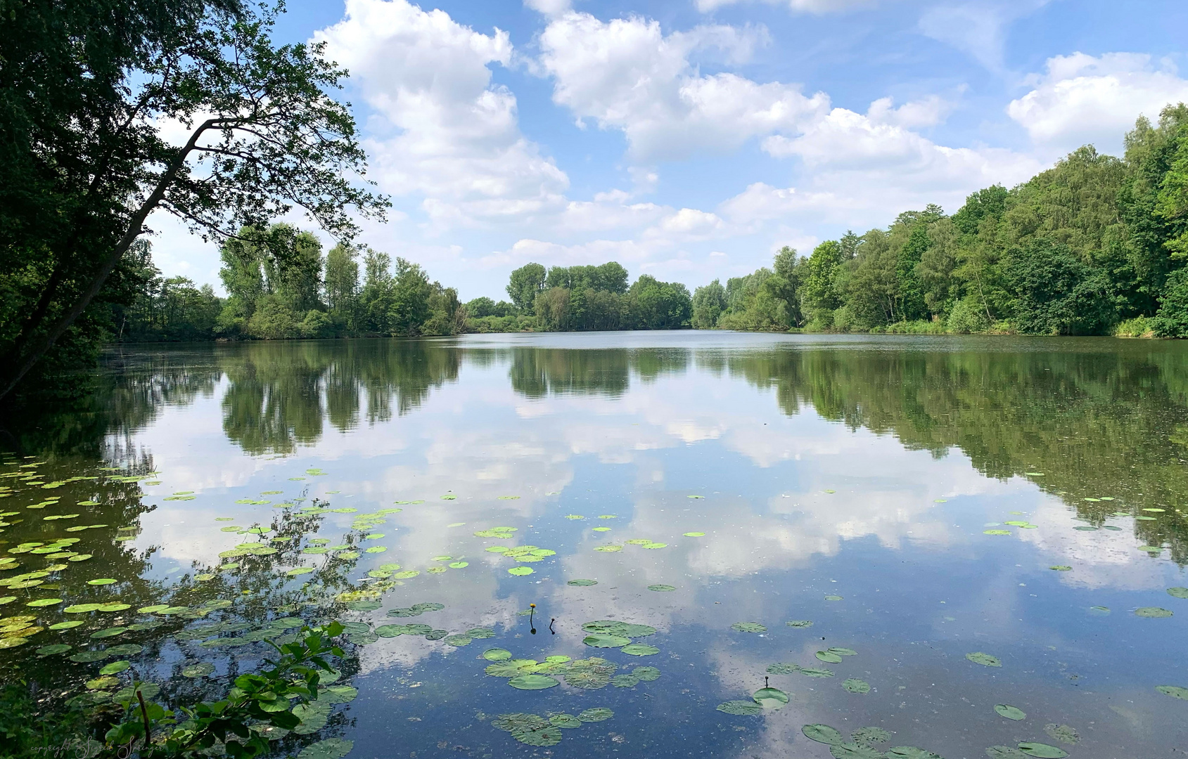 Spaziergang am Borner See