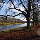 Spaziergang am Decksteiner Weiher